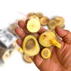 Wood Cookies - Branch Slices -Pack of 30