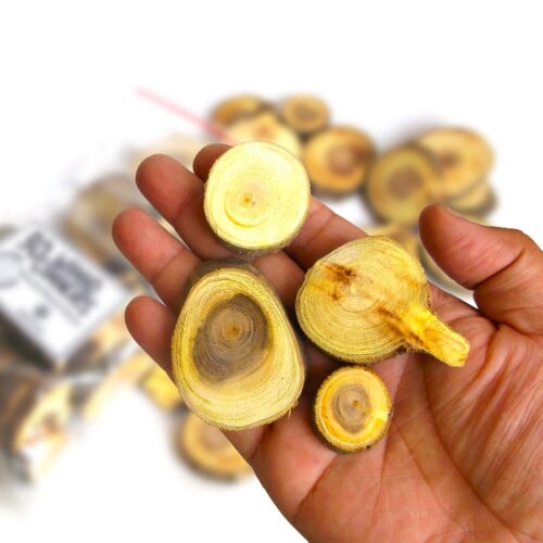 Wood Cookies - Branch Slices -Pack of 30