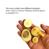 Wood Cookies - Branch Slices -Pack of 30